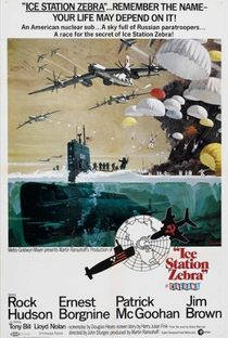 Estação Polar Zebra - Poster / Capa / Cartaz - Oficial 7