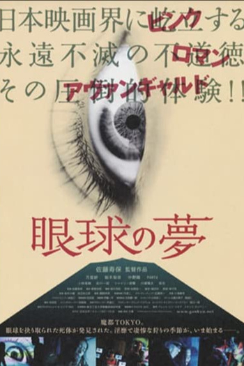 Poster de Filme The Eye's Dream (2016)