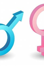 Eles para elas (Eles para elas)