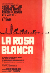 Rosa Blanca (Rosa Blanca)
