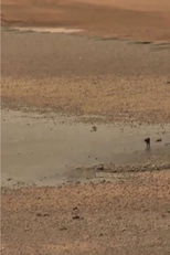 Distance-Landscape: Meeting Between Men (Paisaje-Distancia: Encuentro entre hombres)