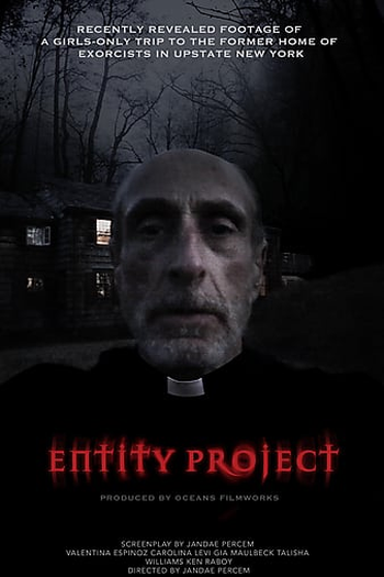 Poster de Filme Entity Project (2019)