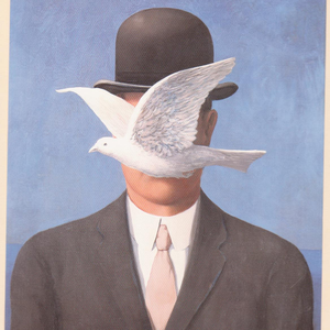 Foto de perfil de Igor