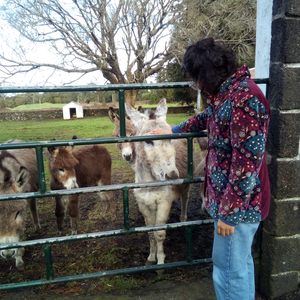 Foto de perfil de Yandra Primavera