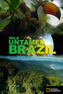 Brasil Selvagem - Poster / Capa / Cartaz - Oficial 1