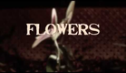 FLOWERS - Trailer