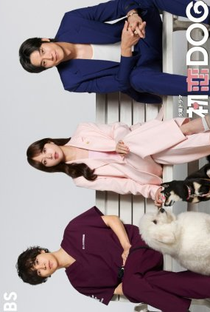 Hatsukoi DOGs - Poster / Capa / Cartaz - Oficial 1
