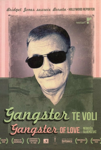 Poster 1 de Filme Gangster do Amor (2013)