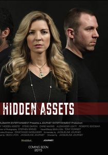 Hidden Assets (Hidden Assets)