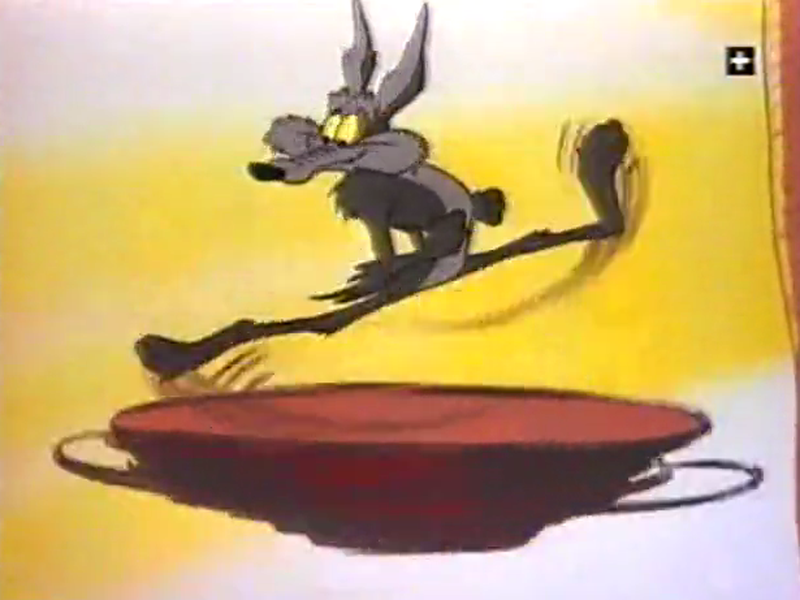 Foto 4 de Wild About Hurry