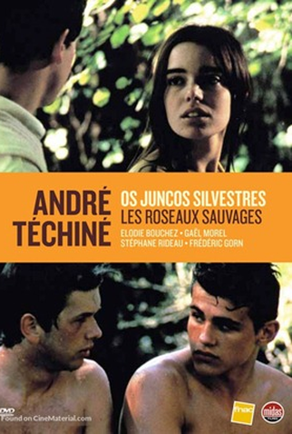 Poster 1 de Filme Rosas Selvagens (1994)