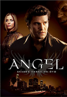 Angel: O Caça-Vampiros (4ª Temporada)