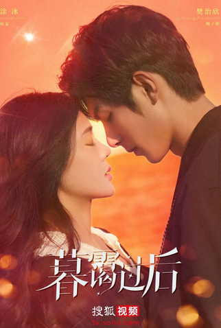 Poster 3 de Série Present Is Present (2024)