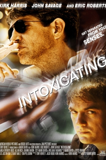 Poster de Filme Intoxicação (2003)