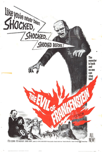 O Monstro de Frankenstein - Poster / Capa / Cartaz - Oficial 4
