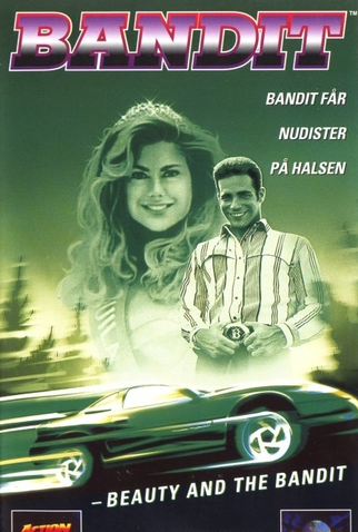 Poster 3 de Filme Bandit - Contra o Crime Organizado (1994)