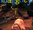 Maggoty