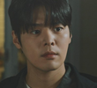 11회