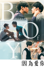 Because of You (因為愛你)