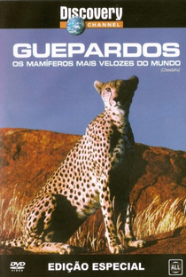 Discovery Channel: Guepardos - Os Mamiferos Mais Velozes do Mundo - Poster / Capa / Cartaz - Oficial 1