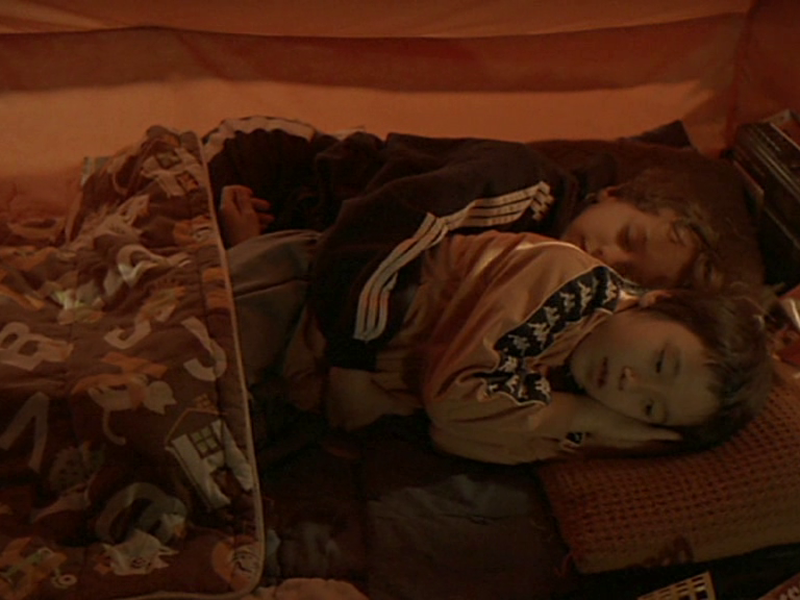 Foto 2 de Sugar Orange