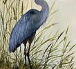 A Garça