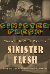 Sinister Flesh - Poster / Capa / Cartaz - Oficial 1