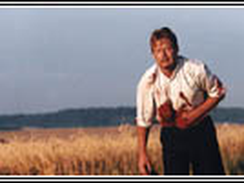 Foto 17 de Sekal Deve Morrer