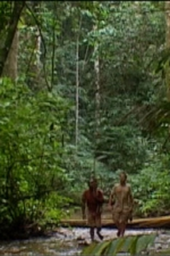 Poster de Episódio Babongo (2005)