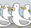Seagull Kingdom