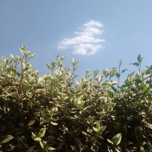 Foto de perfil de Daniel