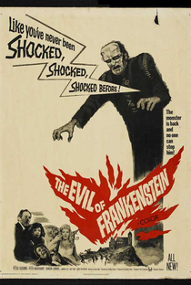 O Monstro de Frankenstein - Poster / Capa / Cartaz - Oficial 3