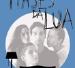 4 Fases da Lua