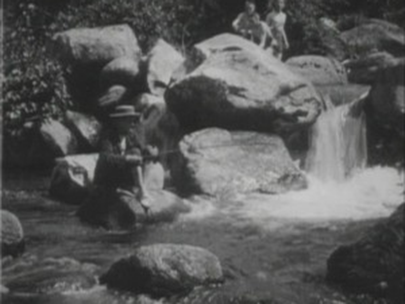 Foto 1 de Le pêcheur dans le torrent
