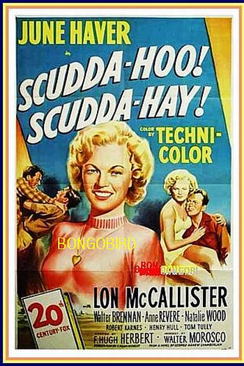 Poster de Filme Torrentes de Ódio (1948)