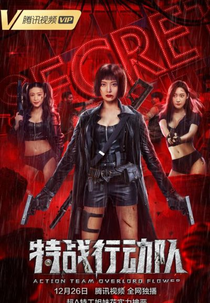 Operação Kick-Ass (特战行动队)