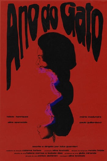 Poster de Curta Ano do Gato (2020)