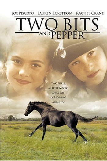 Poster de Filme  Os Amigos de Tyler (1995)