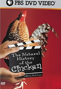 The Natural History of the Chicken (The Natural History of the Chicken)