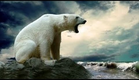 Ataque Animal: Urso Polar [Completo Dublado] Documentário National Geographic