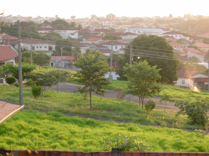 Foto 1 de A Cigarra e a Formiga