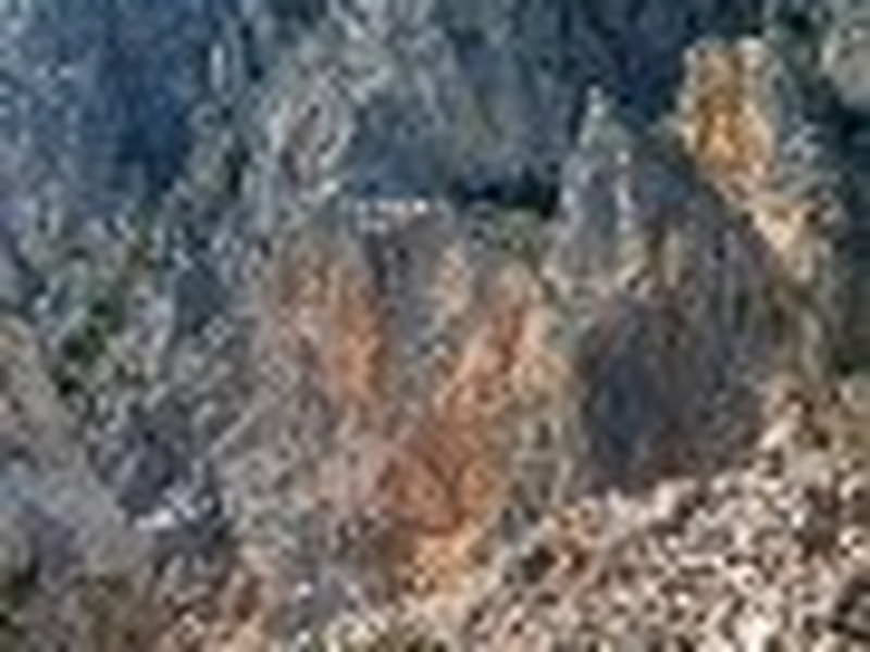 Foto 20 de Captive        (Plennyy)