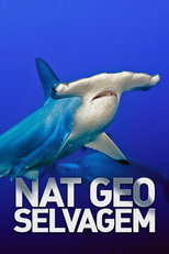 Nat Geo Selvagem (Nat Geo Selvagem)