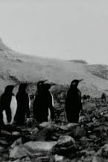 End of Summer (End of Summer)