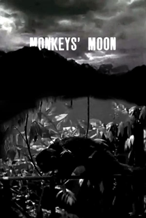 Monkey’s Moon - Poster / Capa / Cartaz - Oficial 1