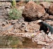 The Waterhole