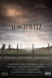 Auschwitz - Poster / Capa / Cartaz - Oficial 1