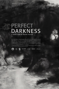 Perfect Darkness - Poster / Capa / Cartaz - Oficial 1