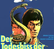 Bruce Lee, Invencível Mestre