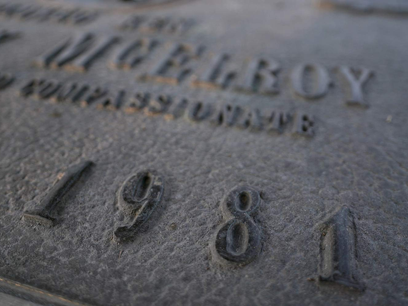 Foto 8 de No One Saw a Thing